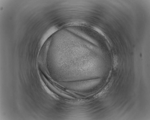 X0000076091042200610061636