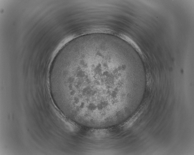 X0000076091043200610061636