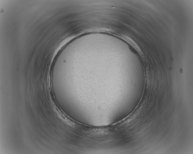 X0000076091044200610061636