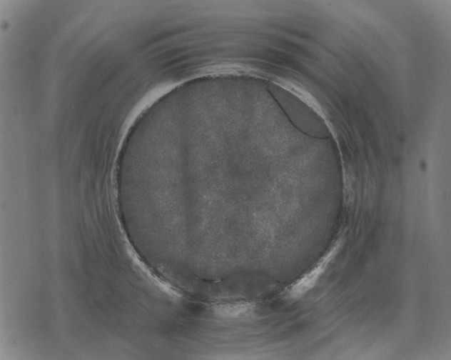 X0000076091045200610061636