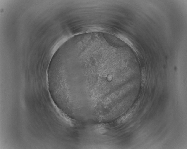 X0000076091047200610061636