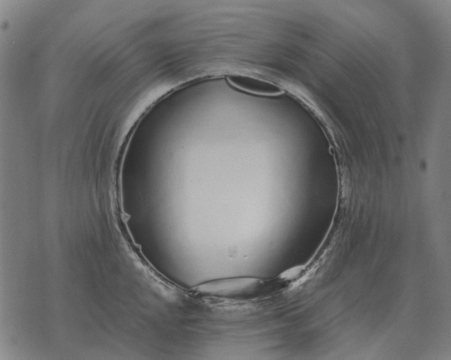 X0000076091048200610061636