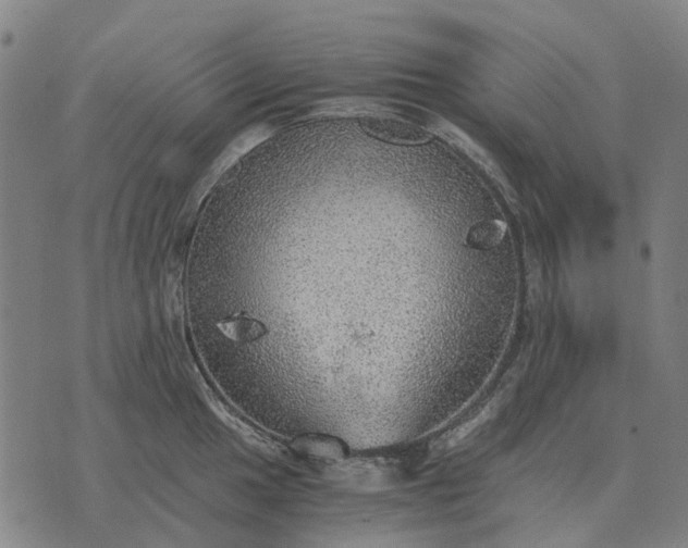 X0000076091049200610061636