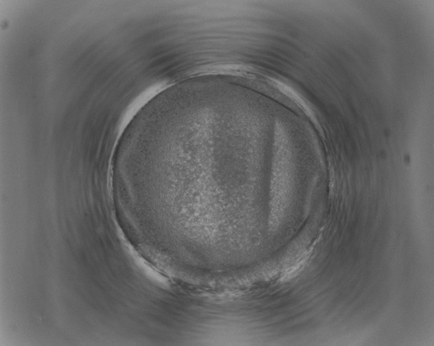 X0000076091050200610061636