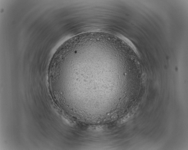 X0000076091051200610061636