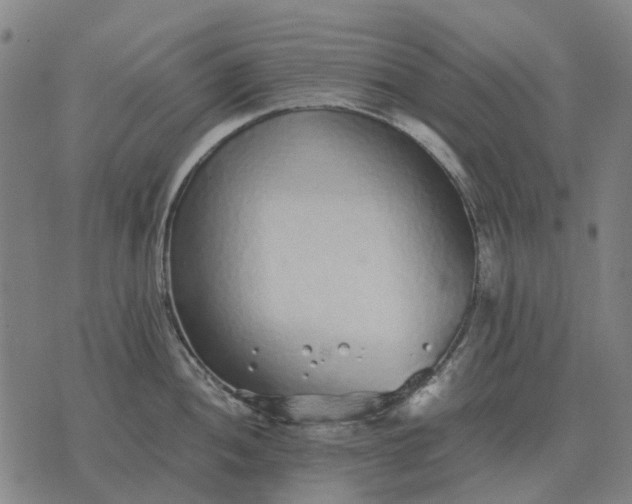 X0000076091052200610061636