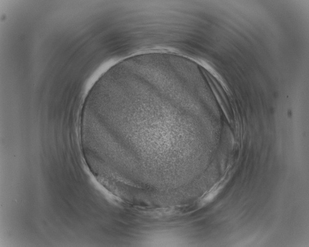 X0000076091054200610061636