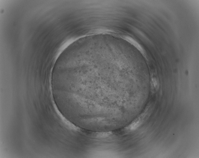 X0000076091055200610061636