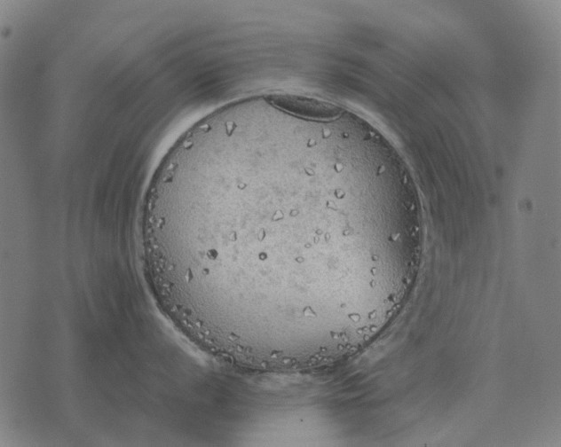 X0000076091056200610061636