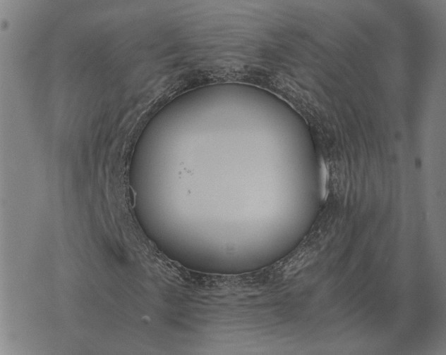 X0000076091057200610061635