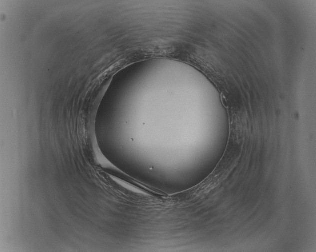 X0000076091058200610061635