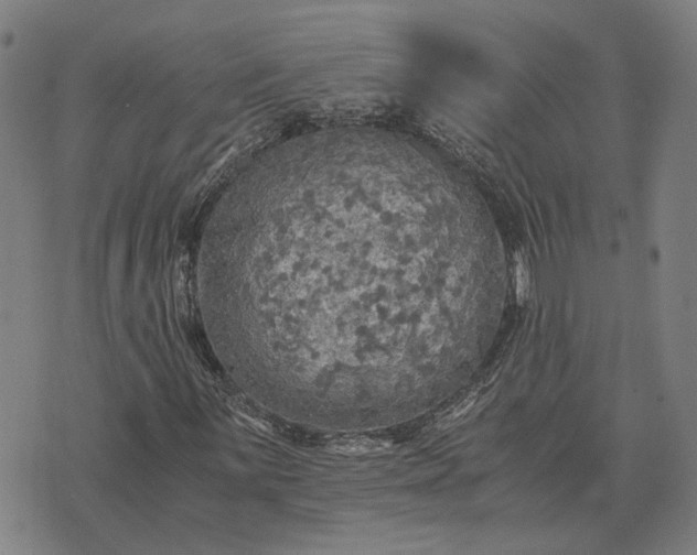 X0000076091059200610061635