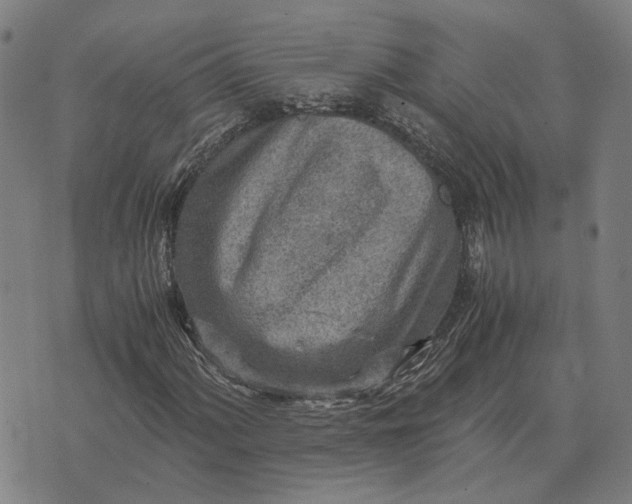 X0000076091060200610061635