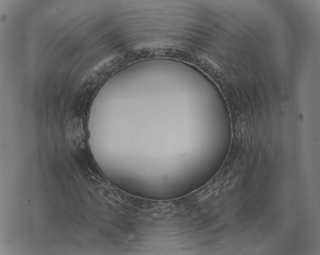 X0000076091062200610061635