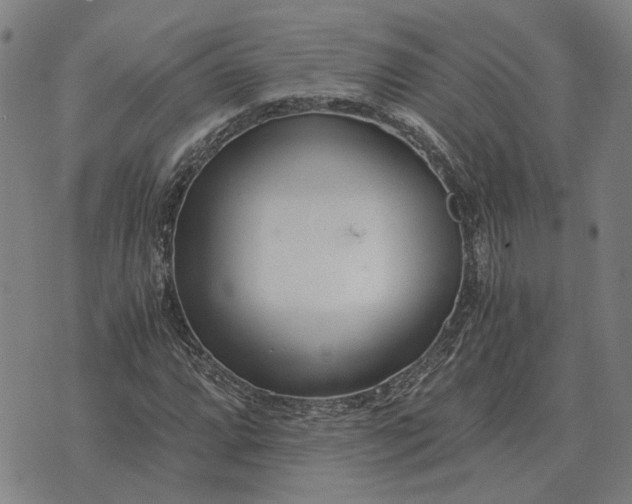 X0000076091064200610061635