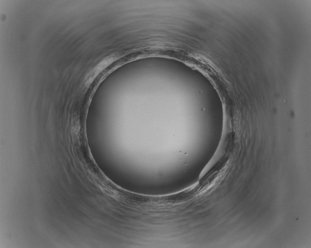 X0000076091065200610061635