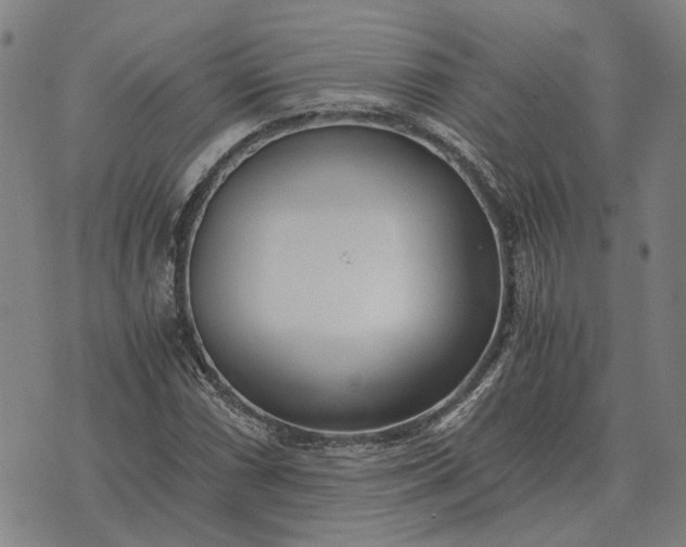 X0000076091066200610061635