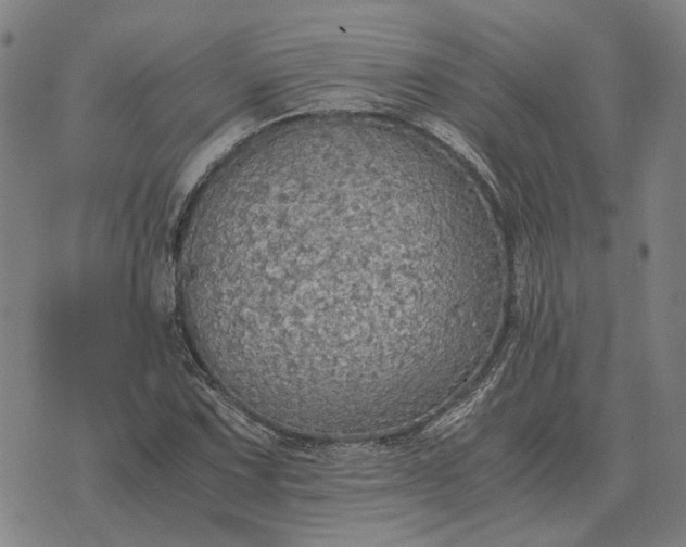 X0000076091067200610061635