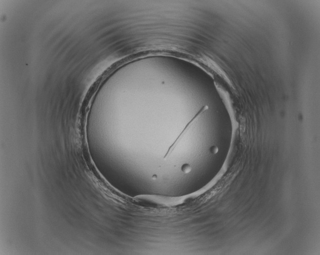 X0000076091068200610061635