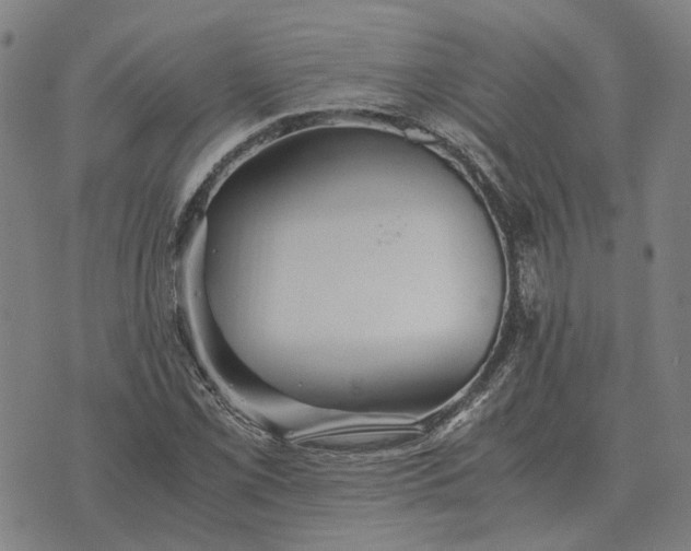 X0000076091069200610061635