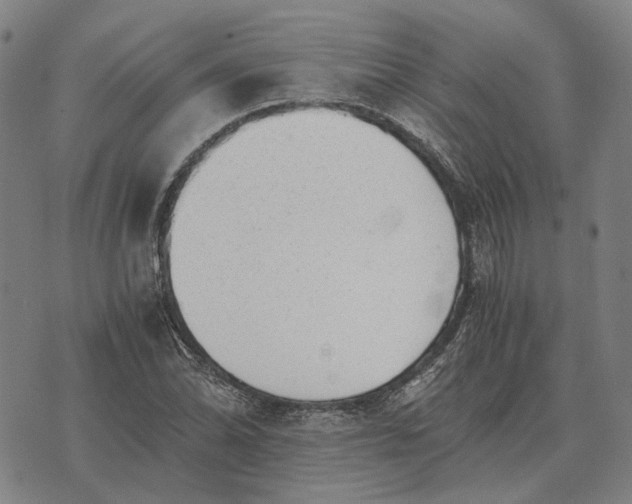 X0000076091070200610061635