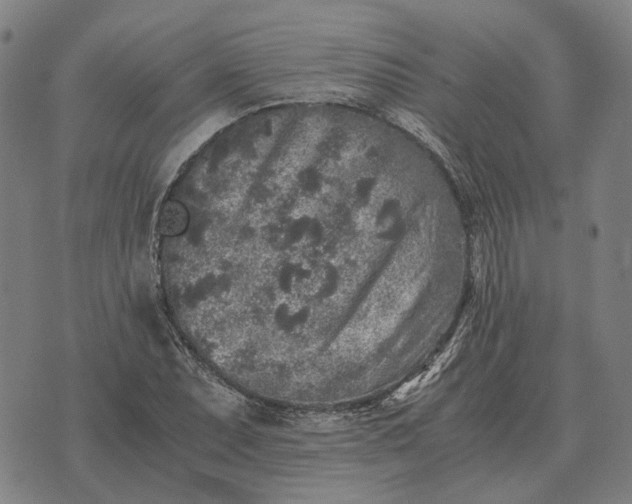 X0000076091071200610061635