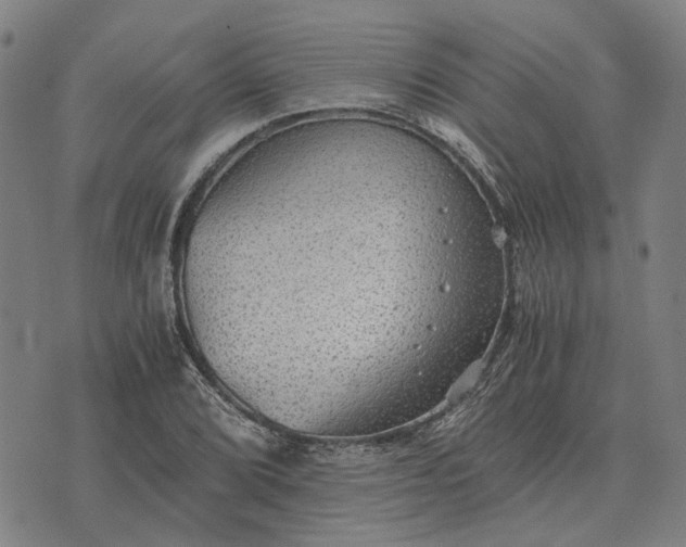 X0000076091072200610061635