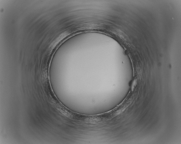 X0000076091073200610061635