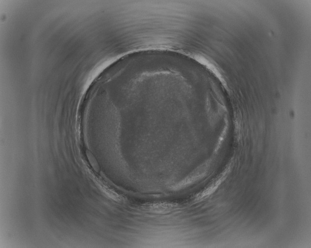 X0000076091077200610061635