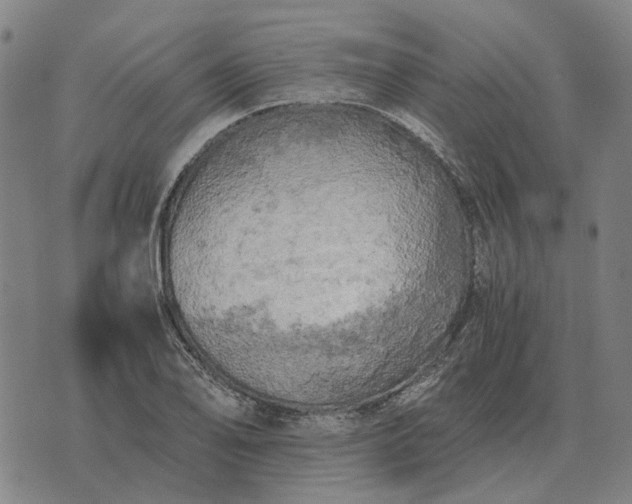 X0000076091078200610061635