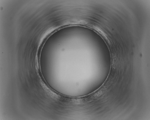 X0000076091080200610061635