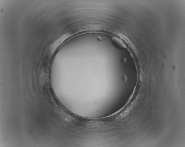 X0000076091081200610061635