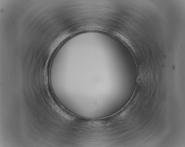 X0000076091082200610061635