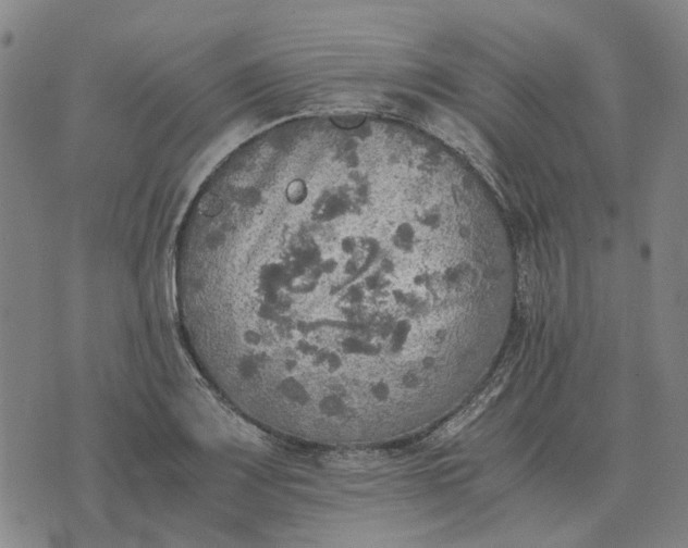 X0000076091083200610061635