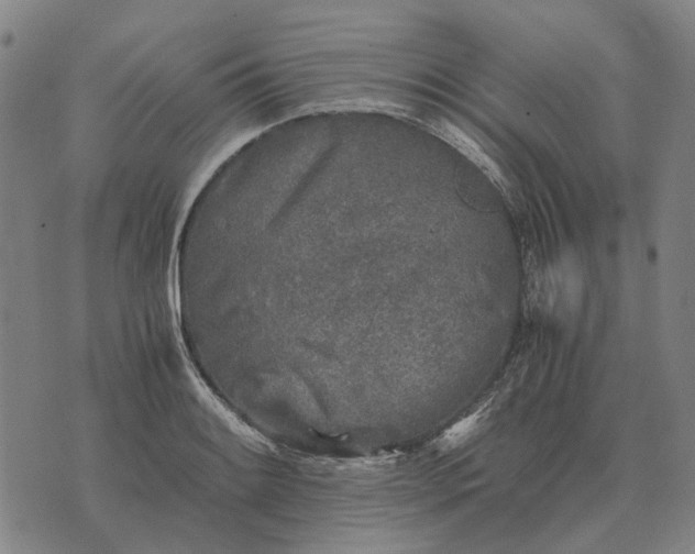 X0000076091084200610061635