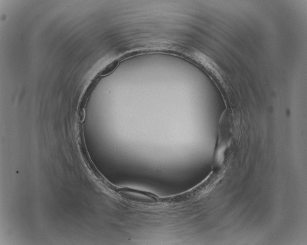 X0000076091085200610061635