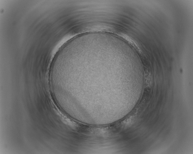 X0000076091086200610061635