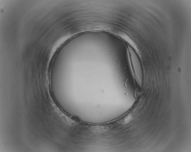 X0000076091088200610061635