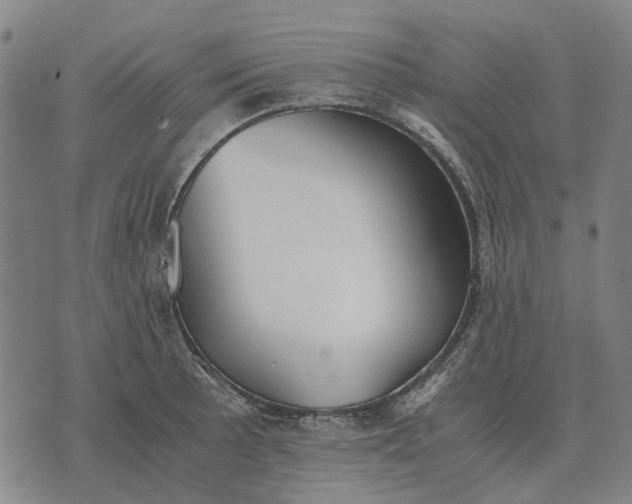 X0000076091089200610061635