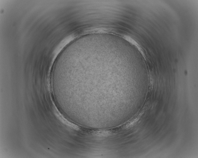 X0000076091090200610061635