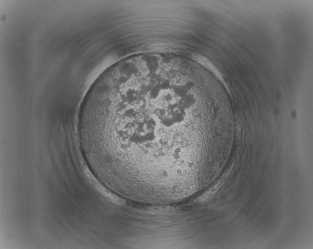 X0000076091091200610061635