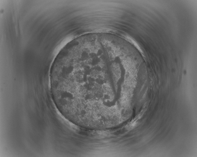 X0000076091095200610061635