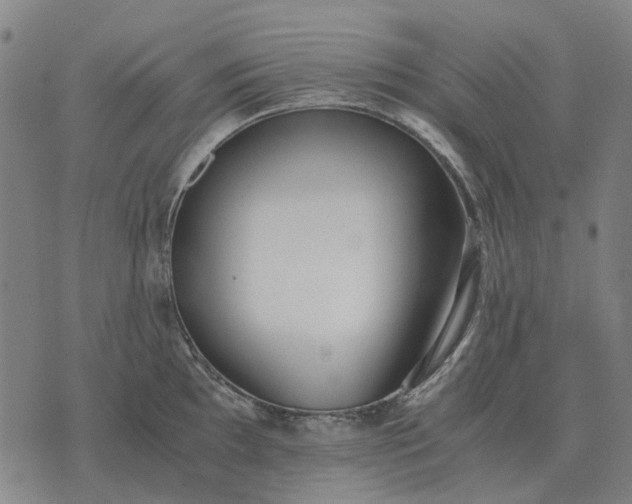 X0000076091097200610061635