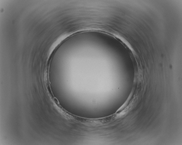 X0000076091101200610061635