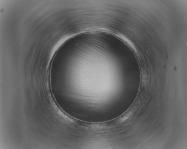 X0000076091102200610061635