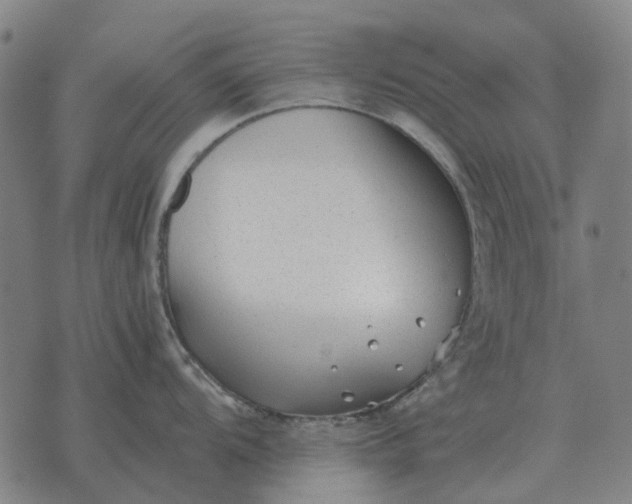 X0000076091104200610061635