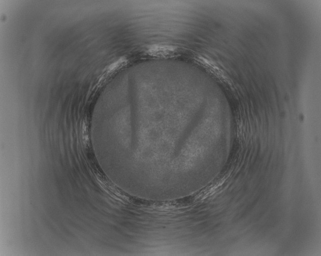 X0000076091106200610061634