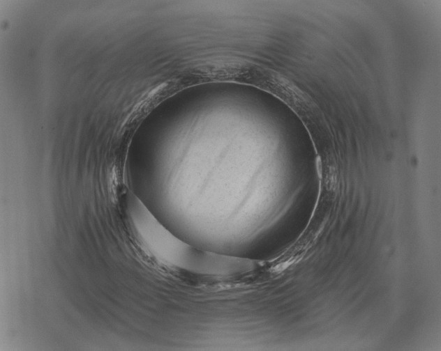 X0000076091108200610061634