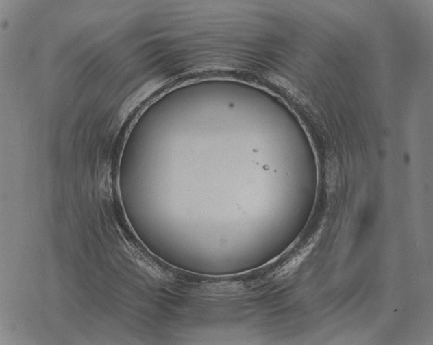 X0000076091113200610061634