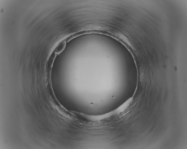 X0000076091116200610061634